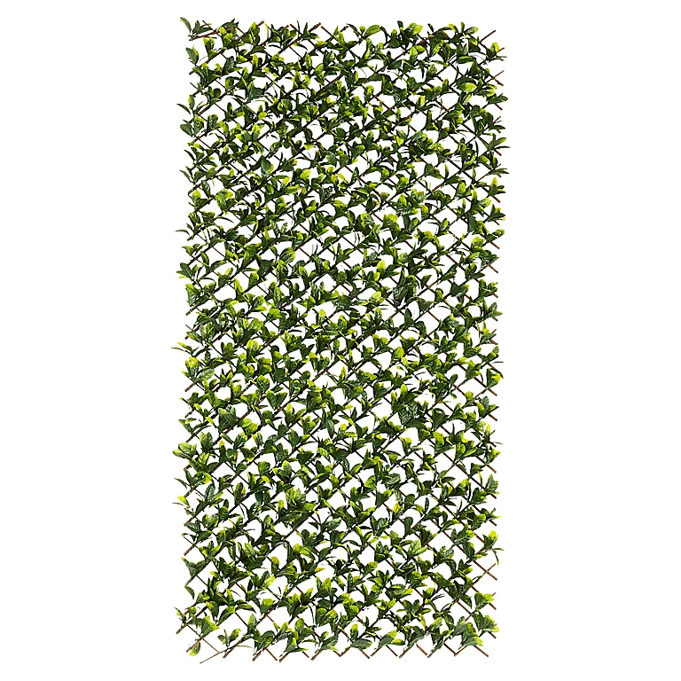 Treillis Extensible Feuilles Blooma 100 X 200 Cm 1 Treillis Extensible Feuilles Blooma 100 X 200 Cm